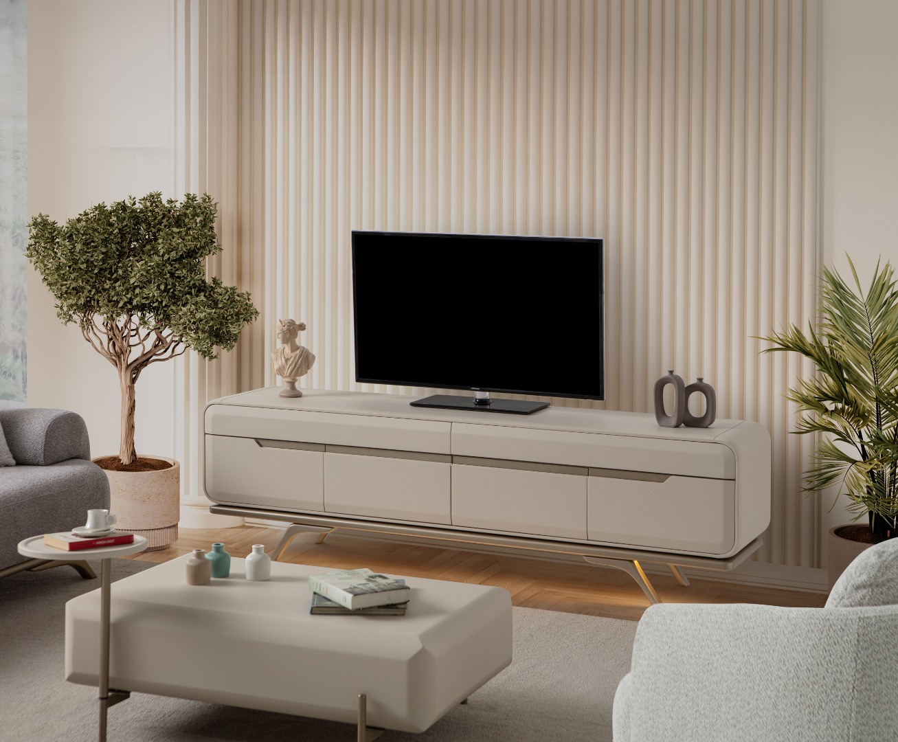 BONJ TV ÜNİTESİ